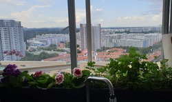 Guilin View (D23), Condominium #214452831